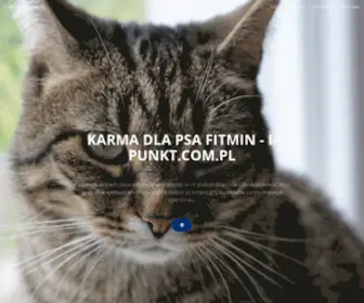 I-Punkt.com.pl(Darmowy katalog stron) Screenshot