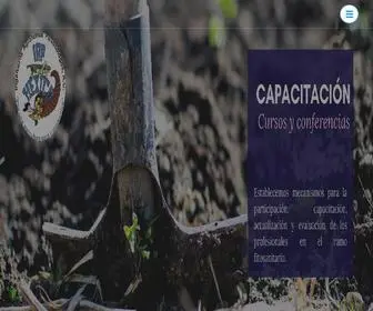 Iapmexico.com.mx(Iapmexico) Screenshot