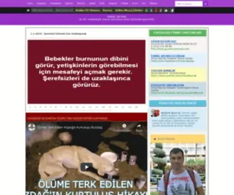 Ibayrak.com(Eskişehir) Screenshot