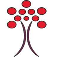 Iberrywifisecurity.com Logo