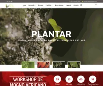 Ibflorestas.org.br(Espécies nobres) Screenshot