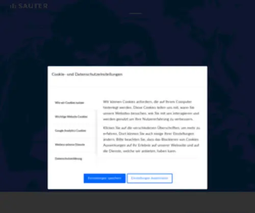 Ibsauter.de(Ingenieurbüro SAUTER) Screenshot
