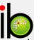 Ibtrack.net Favicon