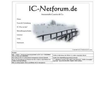 IC-Netforum.de(IC Netforum) Screenshot