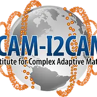 Icam-I2Cam.org Logo
