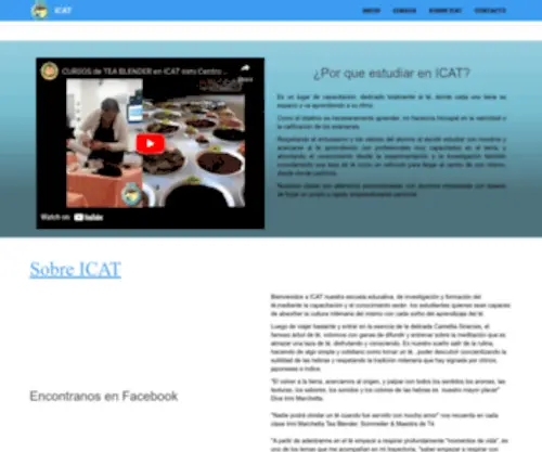 Icatcentrodete.com.ar(ICAT) Screenshot