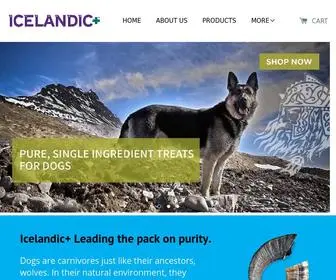 IcelandicPlus.com(Icelandic) Screenshot