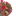 Icfusb.ir Favicon