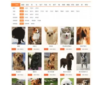 Ichong123.com(爱宠网) Screenshot