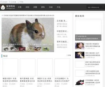 Ichongwuw.com(爱宠物网) Screenshot