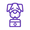 Icish.com Favicon