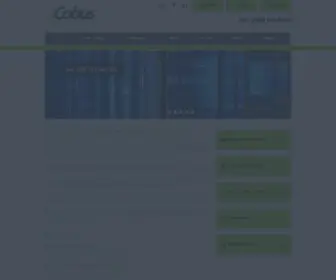 Icobus.com(Telecommunications & Data Cabling Recruitment Agency) Screenshot