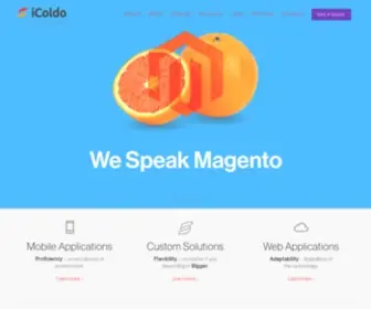 Icoldo.com(Software Development Company) Screenshot