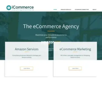 Icommerceteam.com(Amazon and Ecommerce Agency) Screenshot