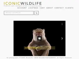 Iconicwildlife.com(ICONIC WILDLIFE) Screenshot