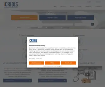 Icribis.com(Acquisto bilanci e visure aziende on line) Screenshot