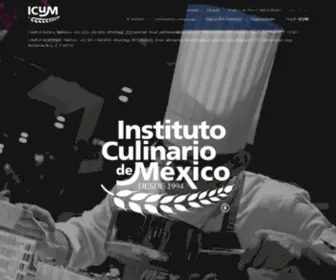 Icum.edu.mx(Instituto Culinario de México) Screenshot
