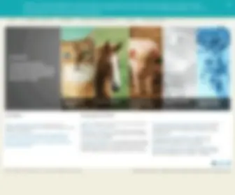 Idexx.es(Veterinaria) Screenshot