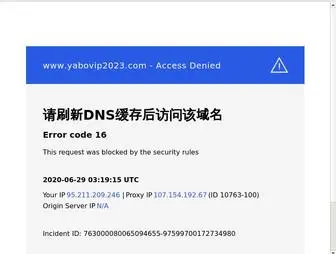 Idgoogle.cn(Idgoogle) Screenshot