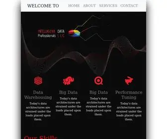 Idprosinc.com(Intelligent Data Professionals LLC) Screenshot