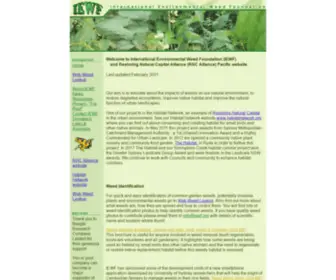 Iewf.org(Iewf) Screenshot