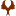 Ifacesimulator.ca Favicon