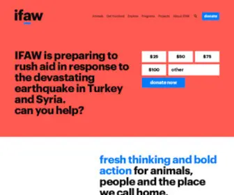 Ifaw.org(Stichting ifaw) Screenshot