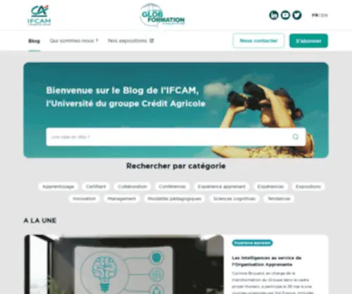 Ifcam-Formation.fr(Le blog de la formation professionnelle par l'ifcam) Screenshot