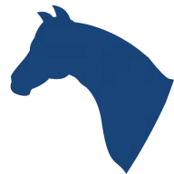 Ifthesaddlefits.com Favicon