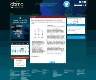 IGBMC.fr(Accueil) Screenshot