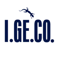 Igecosrl.com Favicon