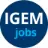 Igemjobs.com Favicon