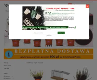 Iglaco.com(Ogród) Screenshot