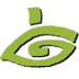 IGP.cl Favicon