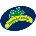Igpplatanodecanarias.es Logo