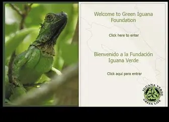 Iguanaverde.com(Green Iguana Foundation) Screenshot