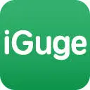 Iguge.net Logo