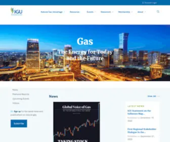 Igu.org(The Global Gas Portal) Screenshot
