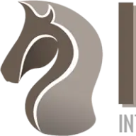 IIG-International.com Favicon