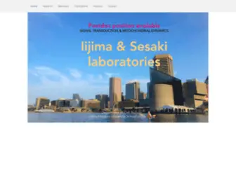 IIjima-Sesaki-Lab.com(Iijima) Screenshot