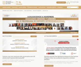 IIMP.org.pe(Instituto) Screenshot