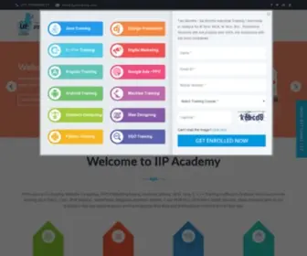 IIpacademy.com(IIP academy) Screenshot