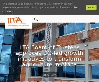 IIta.org(IIta) Screenshot