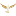 Ijetzz.com Favicon