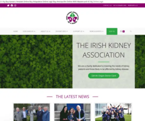 Ika.ie(Ireland's Charitable Renal Patient Association) Screenshot