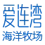 Ilianwan.cn Logo