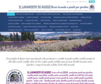 Illavandetodiassisi.com(Vivaio lavanda e piante per giardino.Vivaio online) Screenshot