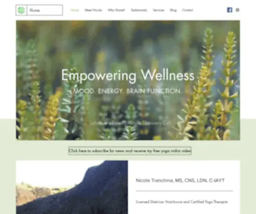 Illumenutritionandyogatherapy.com(Illumeyogatherapy) Screenshot