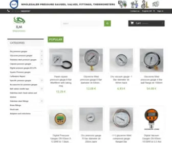 Ilmanometro.com(Il Manometro vendita online manometri) Screenshot