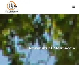 Ilmolinaccio.com(Il Molinaccio di Montepulciano) Screenshot